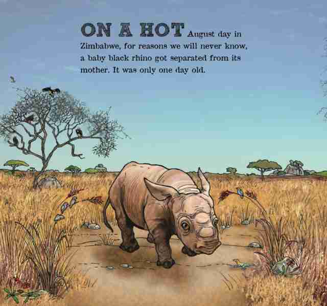 My Children S Picture Book To Save Black Rhinos The Dodo