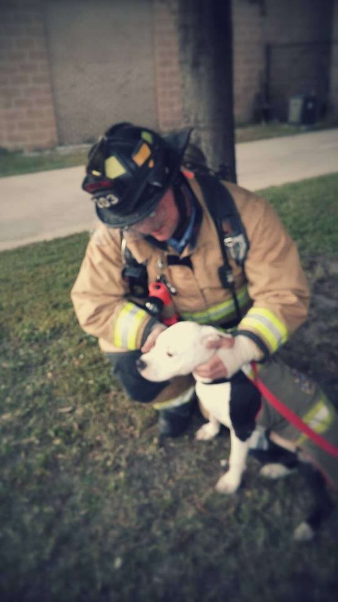 Firefighter Pulls Puppy From Flames Then Changes His Life Forever - The ...