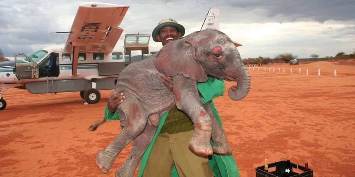 Man Still Remembers The Day He Helped Save This ...