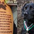 Veteran Pays The Sweetest Tribute To His Heroic Friend