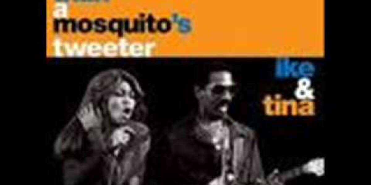 Ike & Tina Turner Whole Lotta Love The Dodo