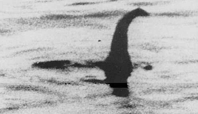 Loch Ness Monster Mystery May Have Ridiculously Simple Answer - The Dodo