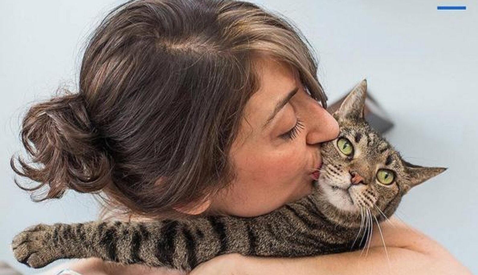 How I Learned To Love Being A Single Cat Lady The Dodo