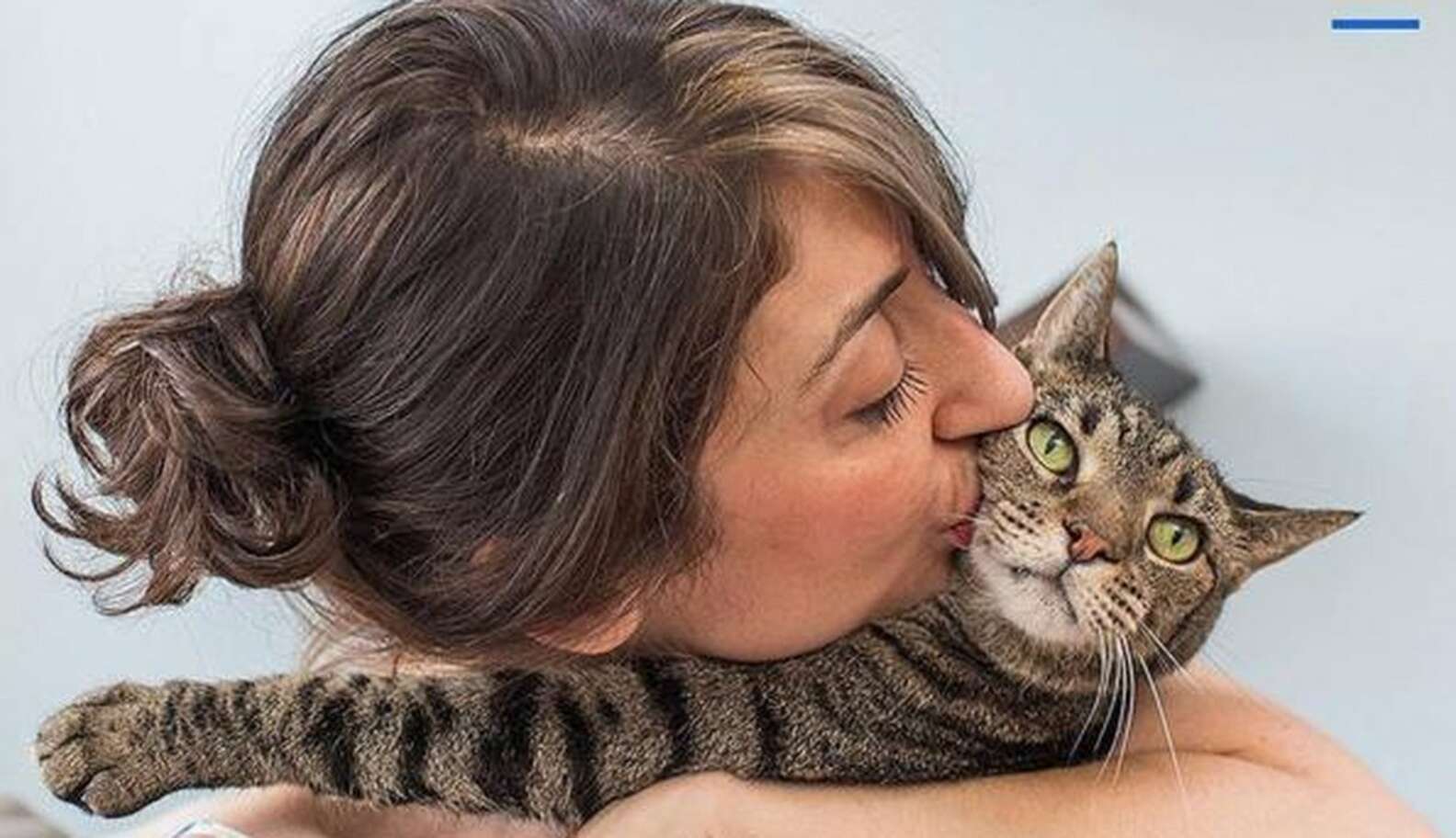 How I Learned To Love Being A Single Cat Lady - The Dodo