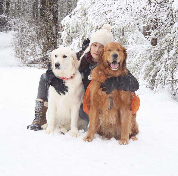 Dog Knows Exactly How To Ease His Adopted Siblings' Anxieties - The Dodo