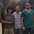 What Leonardo DiCaprio's Doing For Elephants Makes Us Like Him Even More