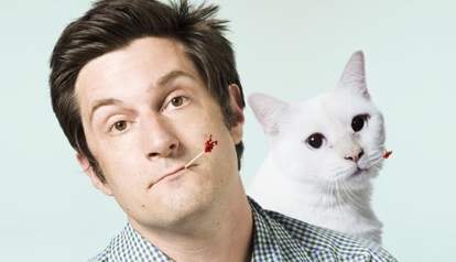 Your Cat The Ultimate Wingman The Dodo