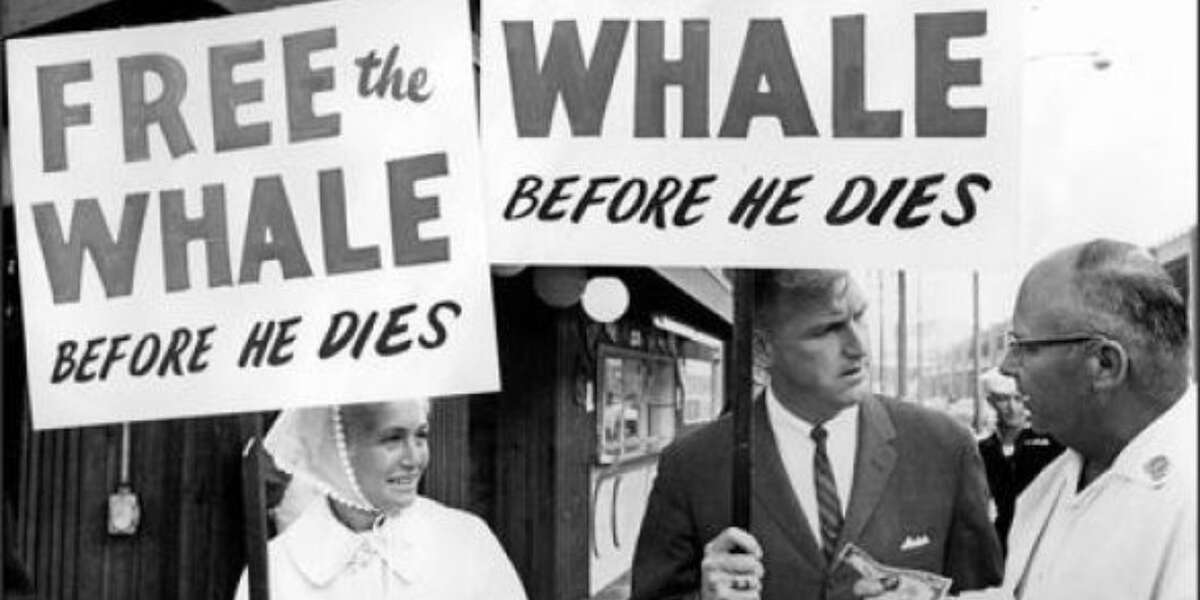 Photos Don't Lie: SeaWorld Has Been Ignoring Protests For Nearly 50 ...