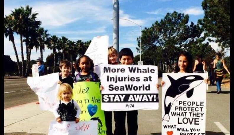 Photos Don't Lie: SeaWorld Has Been Ignoring Protests For Nearly 50 ...