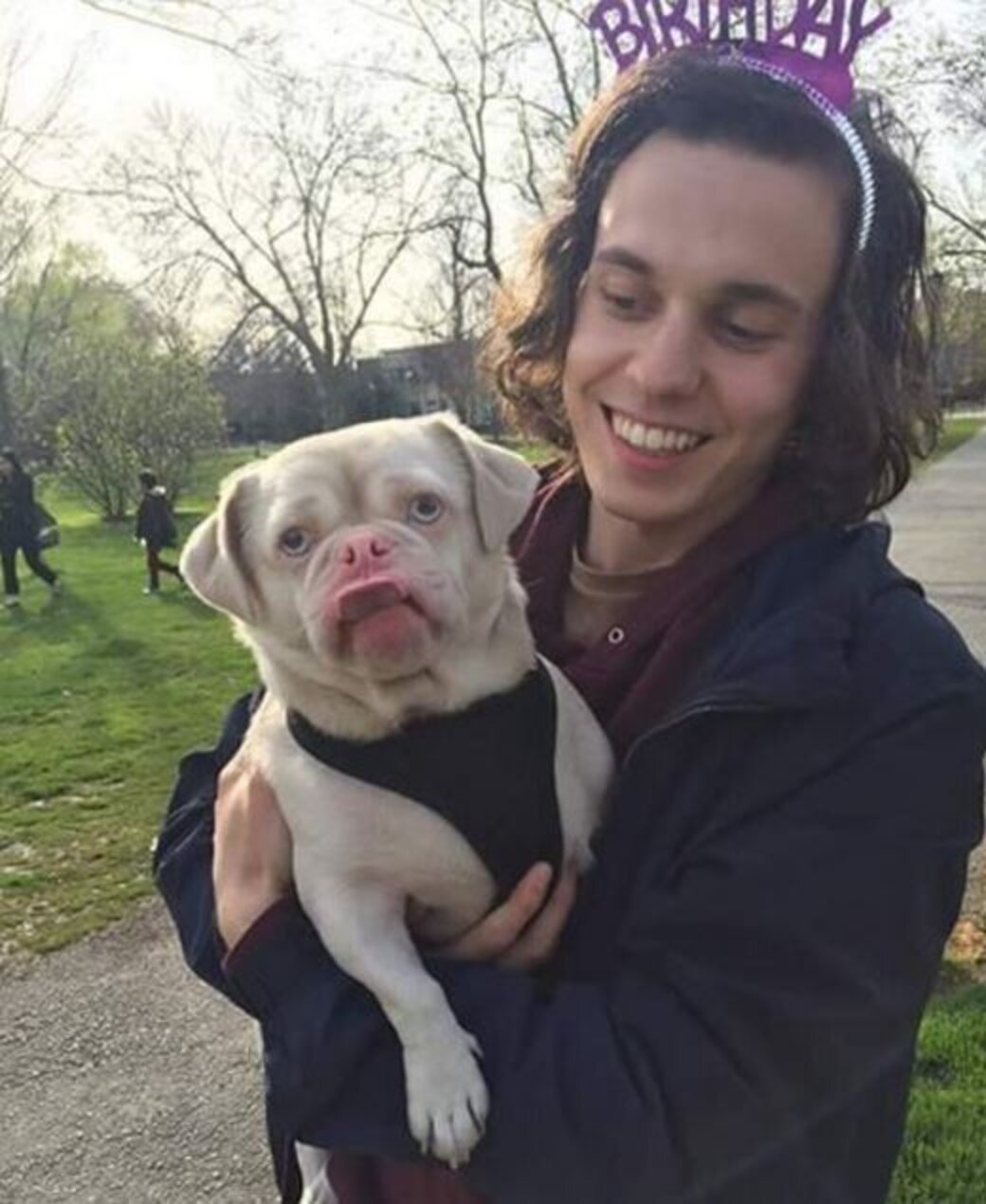 Grumpiest Pug Gets A Home And Becomes The Happiest Dog - The Dodo