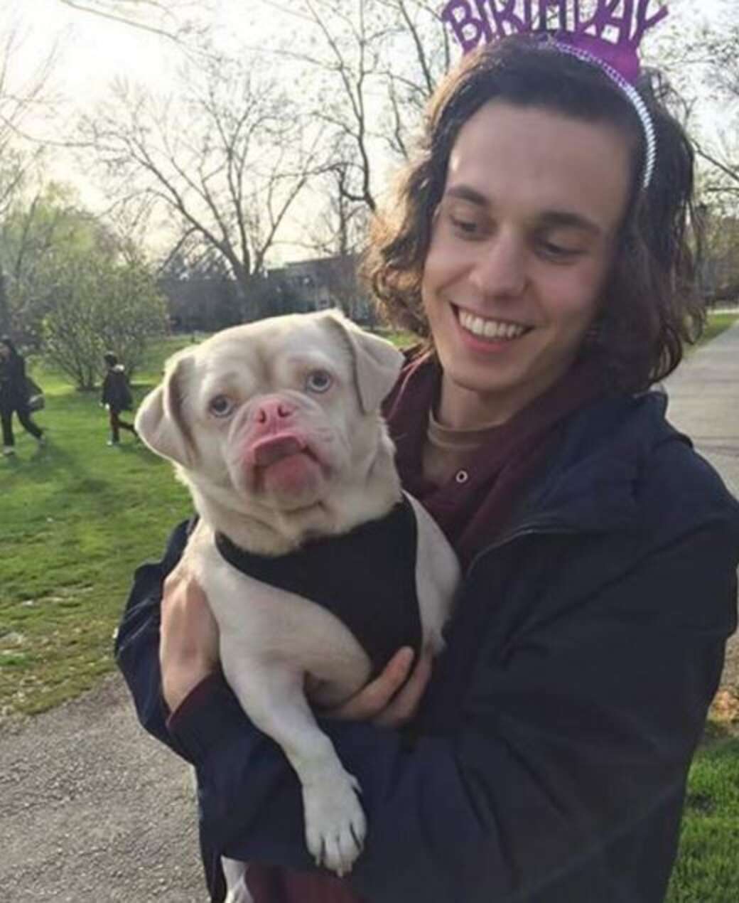 Grumpy Dodo Grumpiest Pug Gets A Home And Becomes The Happiest Dog - The Dodo