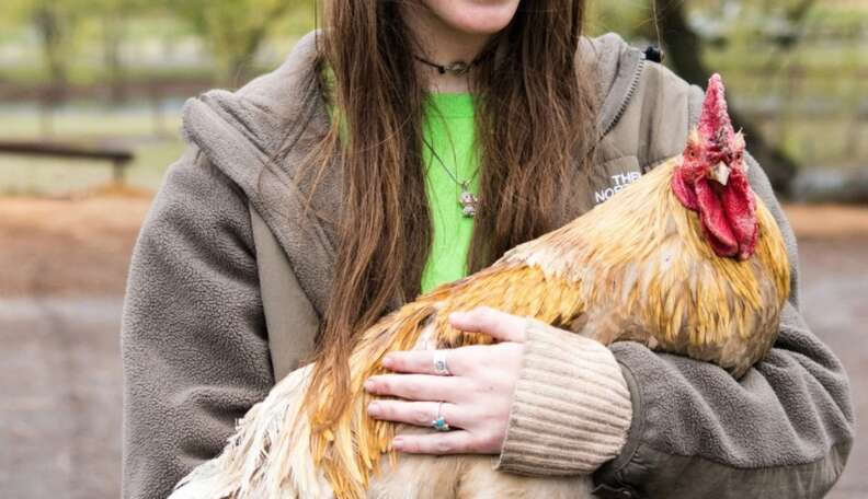 For The Love Of Animals: Mother's Day at Catskill Animal Sanctuary - The Dodo For The Love Of Animals: Mother's Day at Catskill Animal Sanctuary - The Dodo