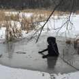 Dog Desperately Held Onto Ice While Rescuers Came Running