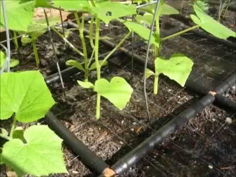 Garden Grid drip irrigation system offers quick & convenient watering