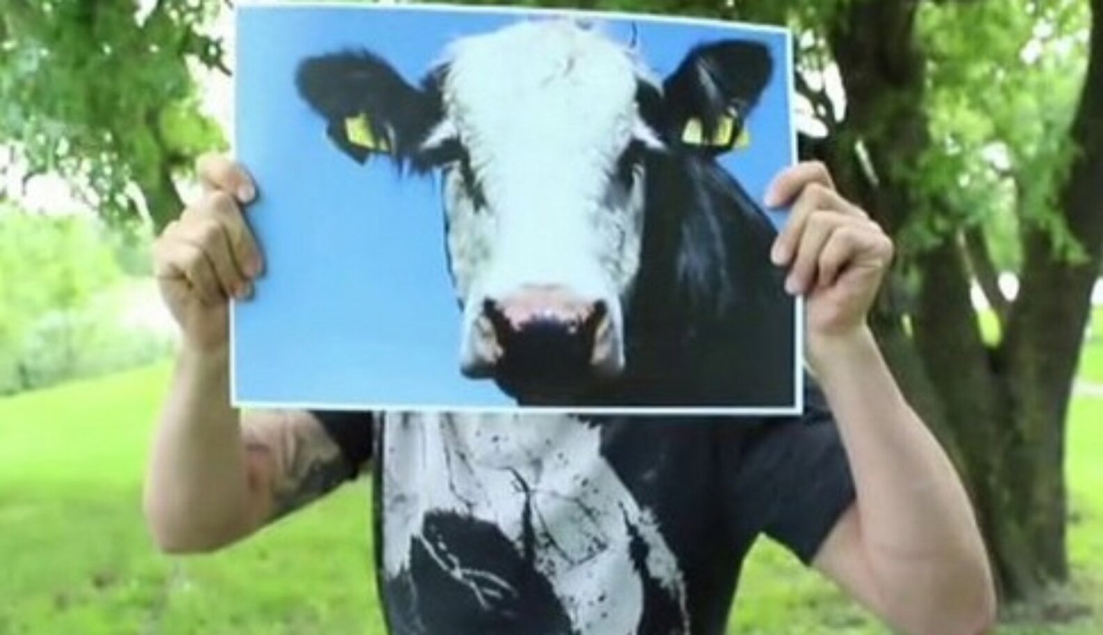 All The Best Rappers Love Animals And Want You To Raise Your Hands In ...