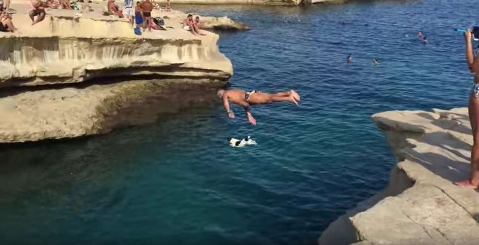 Dog Jumps Off Cliffs With Her Dad — And Loves It - The Dodo