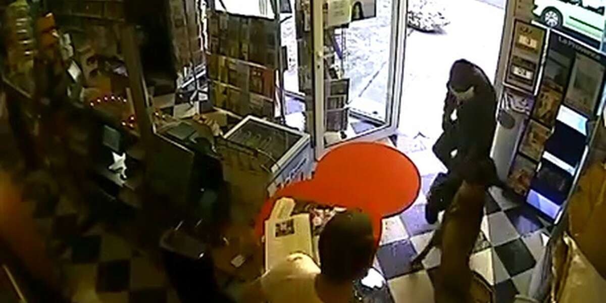 Dog Refuses To Let Armed Robber Attack His Owner - The Dodo