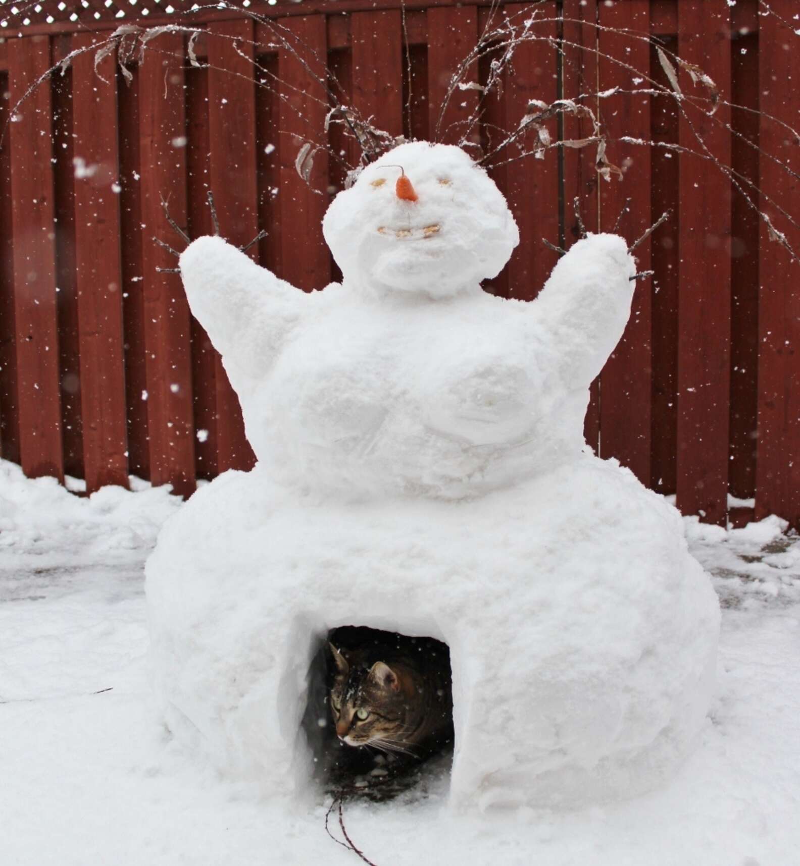 Снежный кот Снеговик