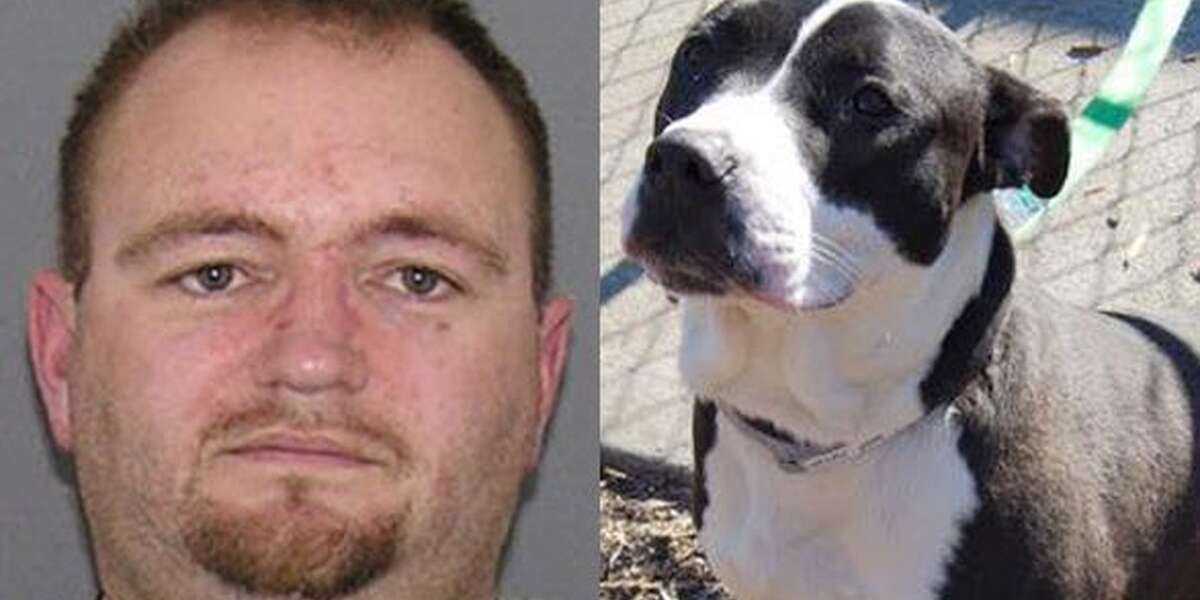 Man Ordered To Destroy 'Vicious' Dog Adopts LookAlike To Be Killed In(01)