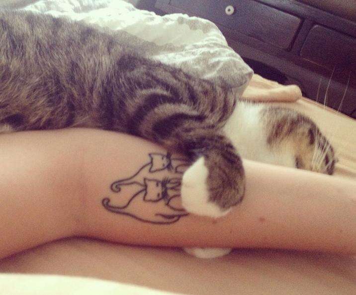 simple cat tattoos