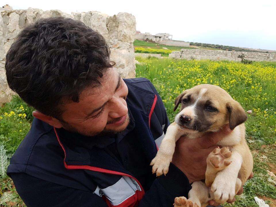 'Cat man' of Aleppo saving abandoned puppy