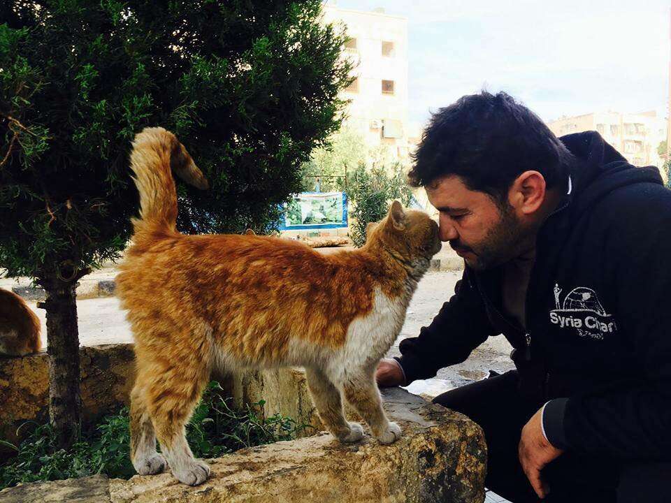 'Cat man' of Aleppo with stray cat