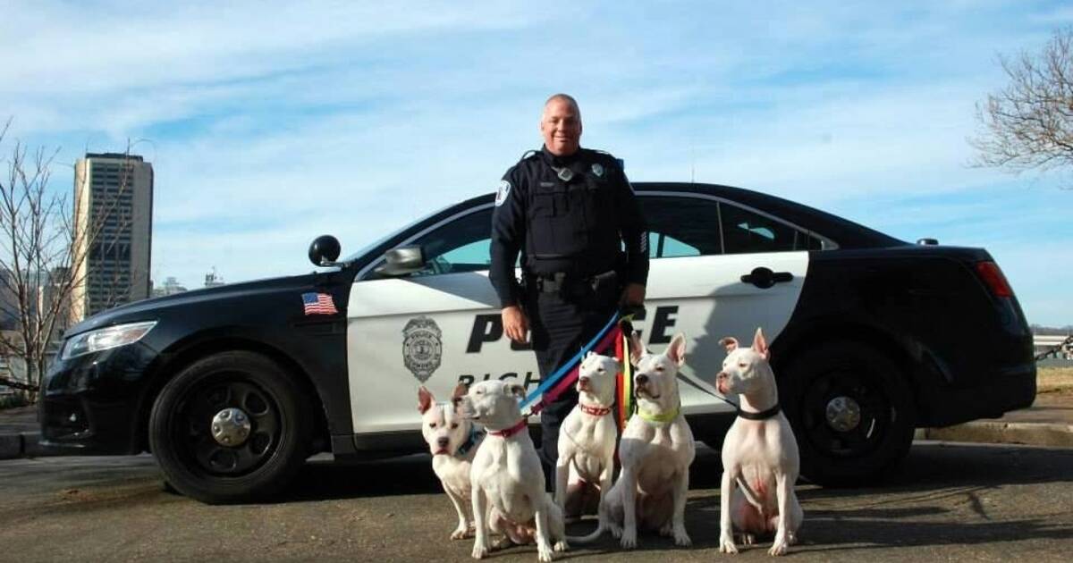 Cop Becomes Foster Dad To Cat Who Jumped In His Police Car - The Dodo