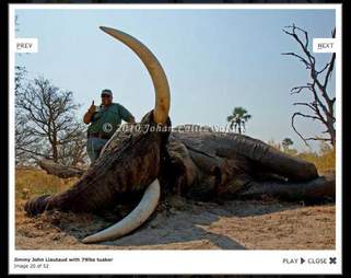 Jimmy John S Owner Exposed For Hunting Endangered Animals The Dodo