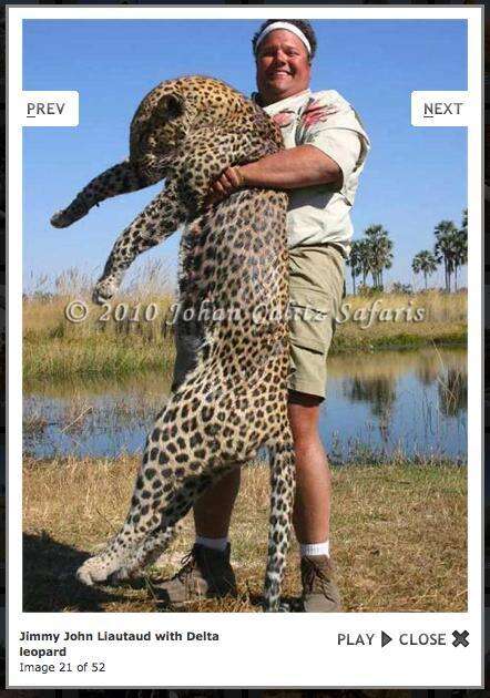 Jimmy John's Owner Exposed For Hunting Endangered Animals - The Dodo Jimmy John's Owner Exposed For Hunting Endangered Animals - The Dodo