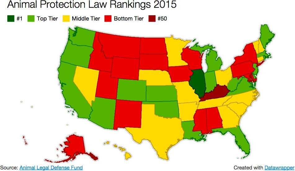 The Best And Worst States For Animal Cruelty - The Dodo