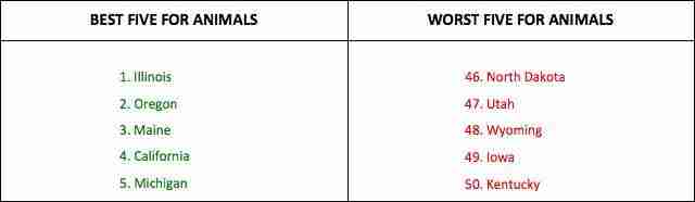 Animal Cruelty Charts