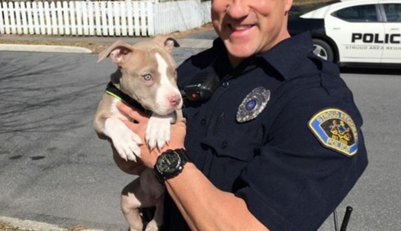 Cop Runs Into Burning House To Save Pit Bull Puppy - The Dodo