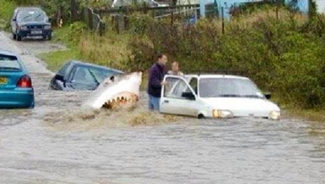 Can You Guess Which Of These Viral Photos Are Fake? - The Dodo