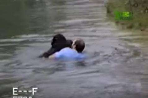 Man Jumps Into Zoo Enclosure To Save A Drowning Chimp - The Dodo