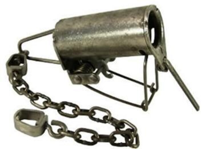 This Trap Was Banned For 30 Years, But It's Legal Again - The Dodo