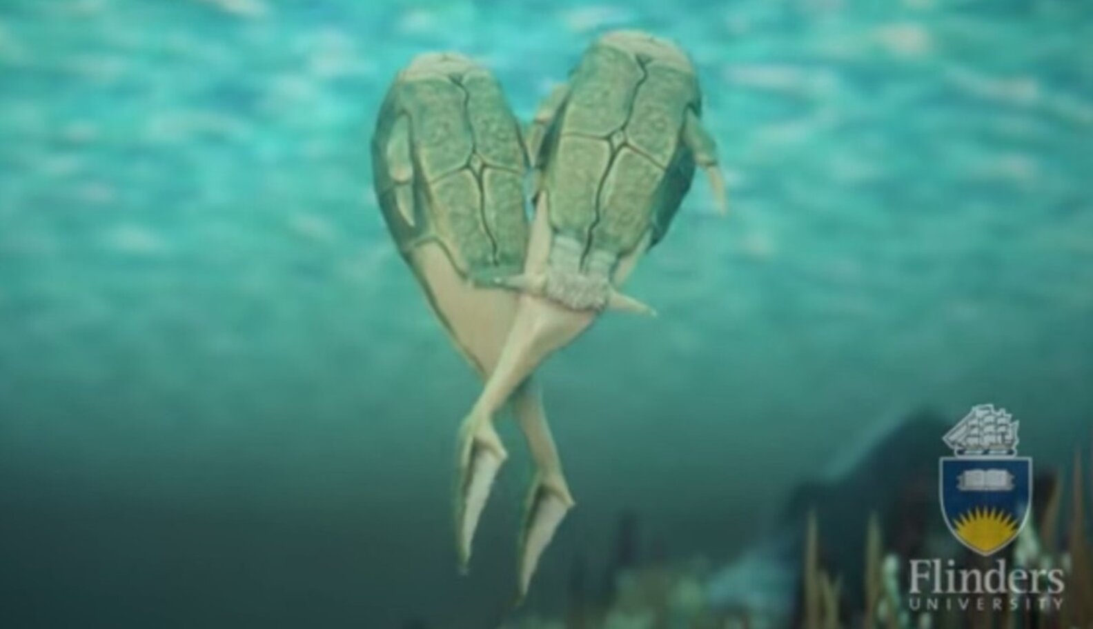 Meet The Ancient Fish Who Invented Sex The Dodo