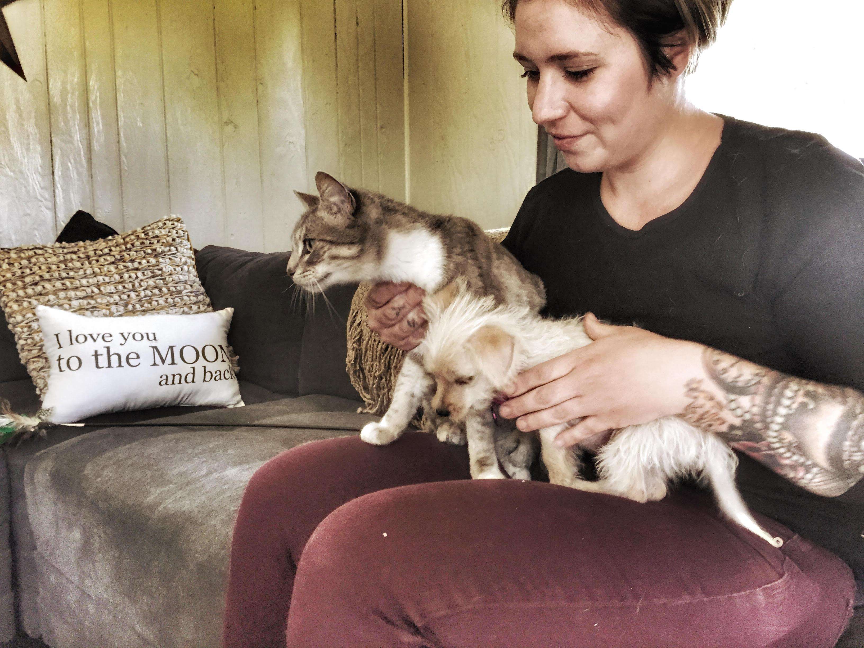 Street cat adopts orphaned puppy