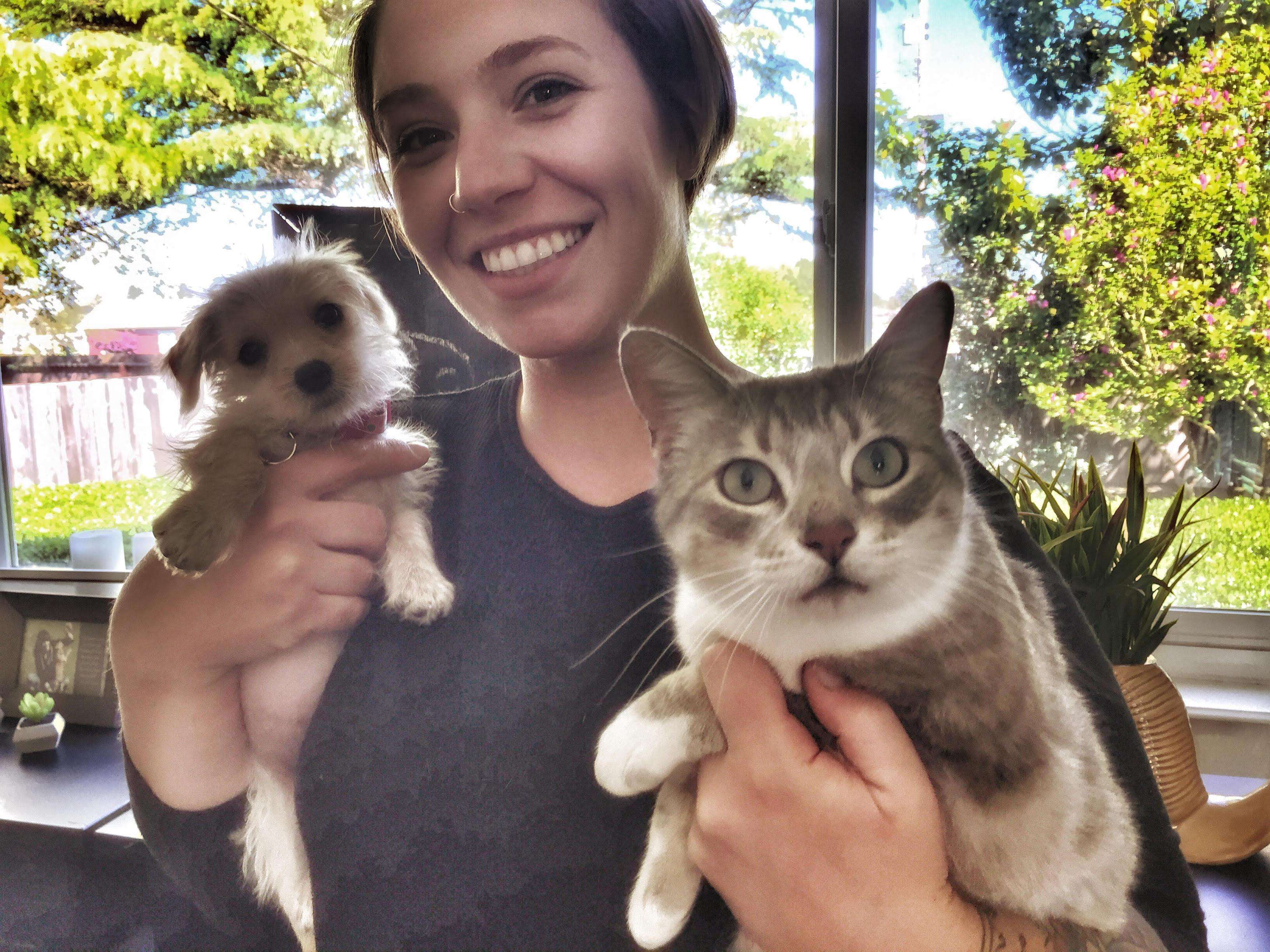 Orphaned puppy and former street cat with their foster mom