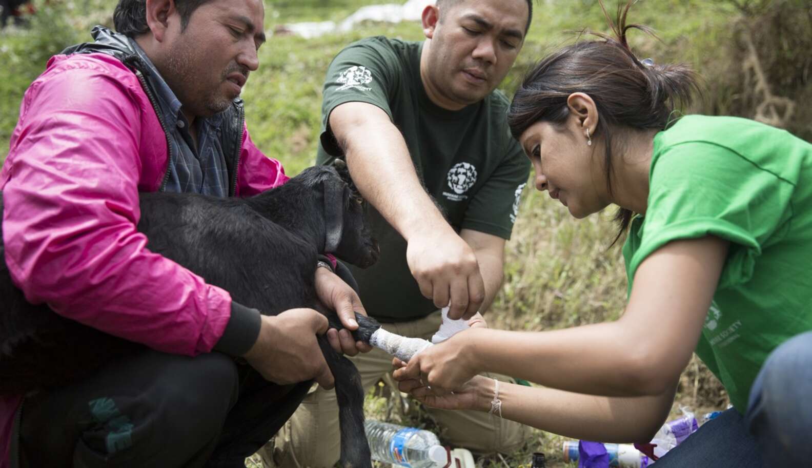 Touching Photos Capture Animals Who Survived Nepal Earthquake - The Dodo