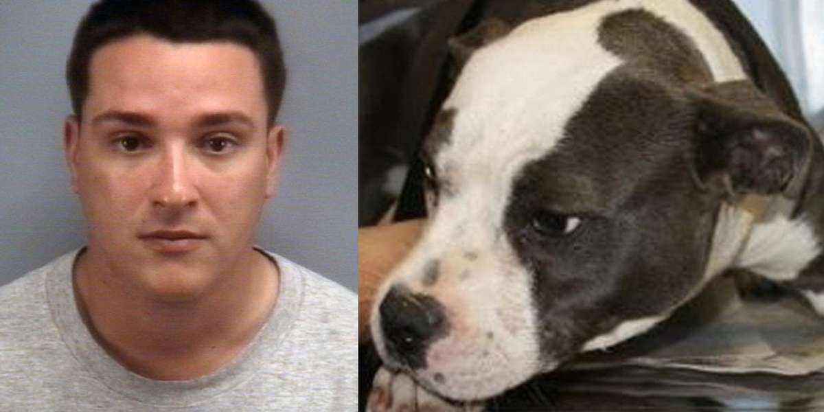 man-gets-maximum-sentence-after-adopting-dog-off-craigslist-burning