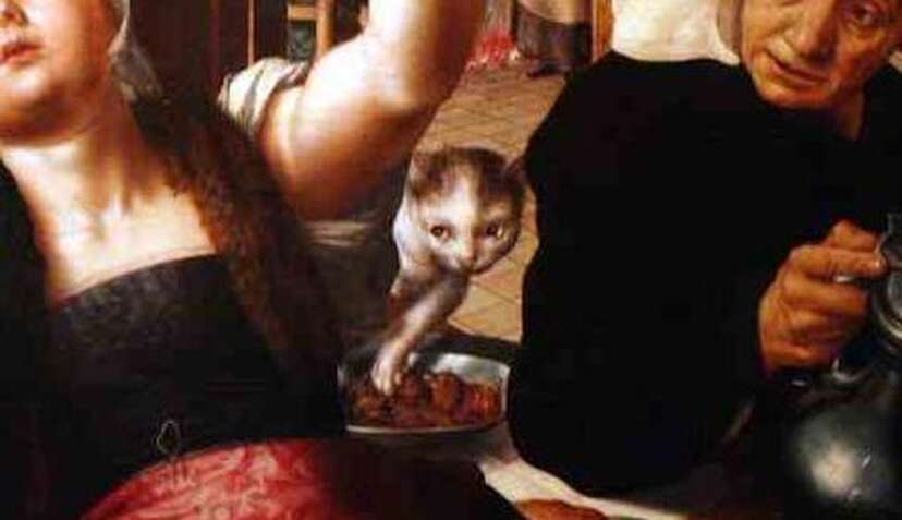 13 Renaissance Cats Who Just Don't Give A Sh*t - The Dodo 13 Renaissance Cats Who Just Don't Give A Sh*t - The Dodo