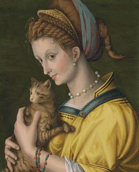 13 Renaissance Cats Who Just Don't Give A Sh*t - The Dodo 13 Renaissance Cats Who Just Don't Give A Sh*t - The Dodo