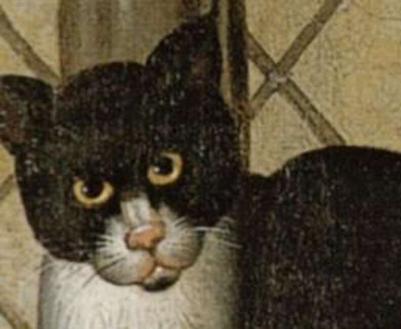 13 Renaissance Cats Who Just Don't Give A Sh*t - The Dodo 13 Renaissance Cats Who Just Don't Give A Sh*t - The Dodo