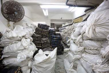 Shark fins inside a warehouse in Hong Kong