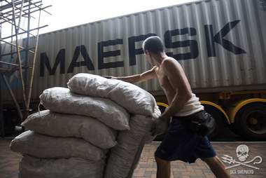 Sacks of shark fins being unloaded from a shipping container in Hong Kong