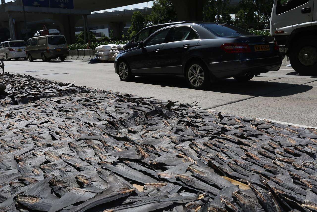 Shark fins drying out on the street in Hong Kong