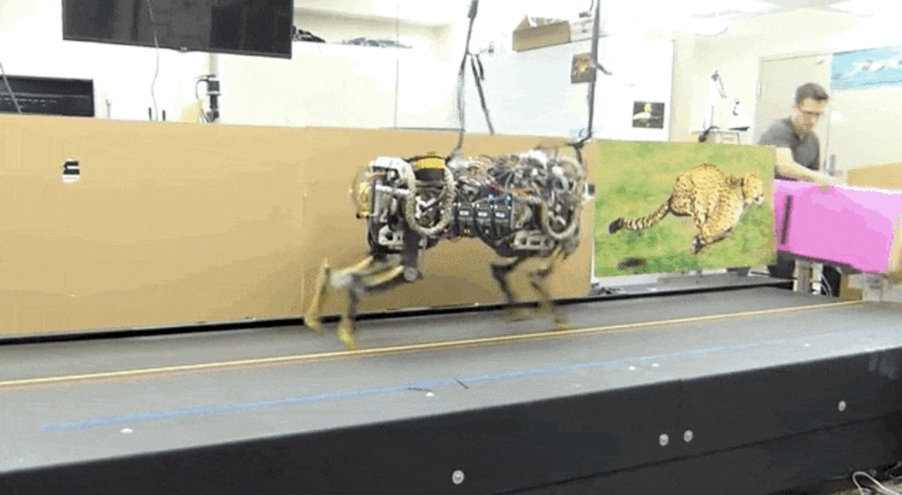 Wild Animals Are So Amazing, Scientists Are Trying To Recreate Them ...