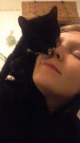Elsa the kitten licking her mom's face
