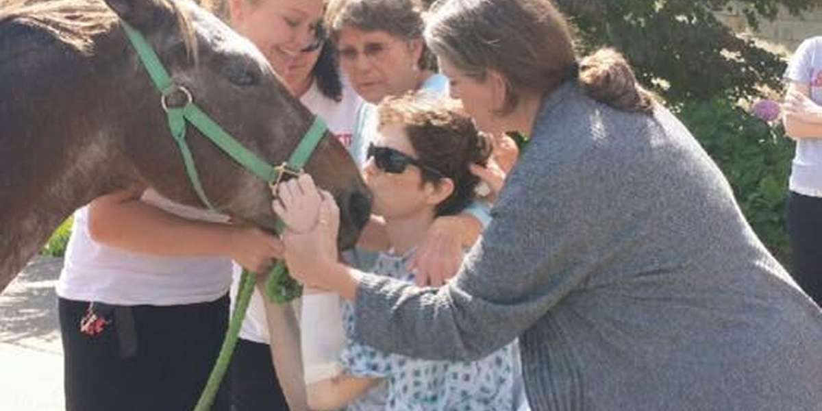 Horse Visits Hospital To Bid Farewell To His Ailing Owner The Dodo