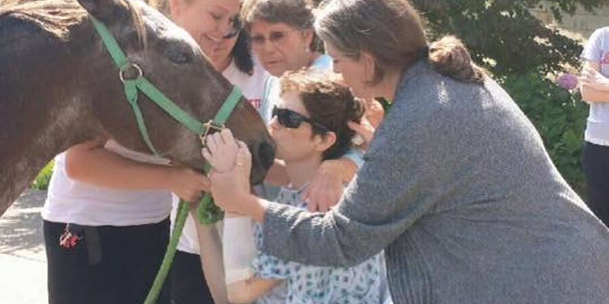 horse in the hospital shirt